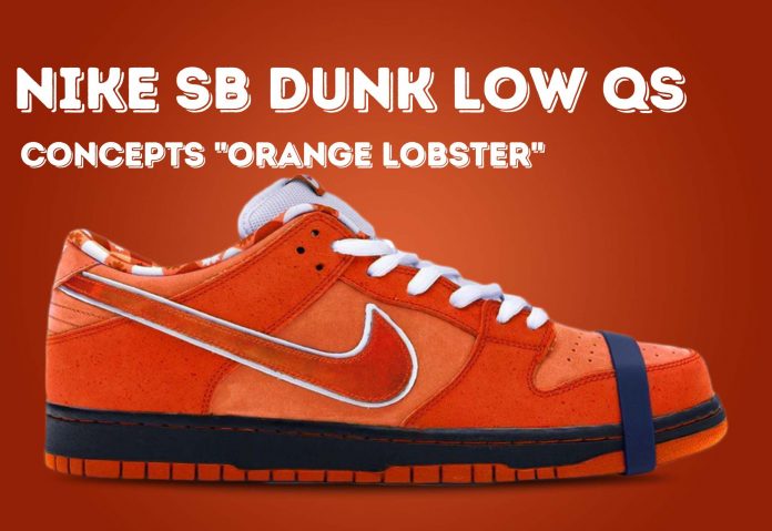 Colaboração Nike Sb Qs Dunk Low X Concepts Orange Lobster Colaboração Nike Sb Qs Dunk Low X Concepts Orange Lobster